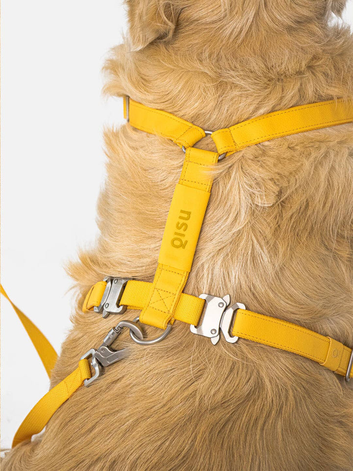 Qisu - Dog Harness | Air Collection: / Kiwi