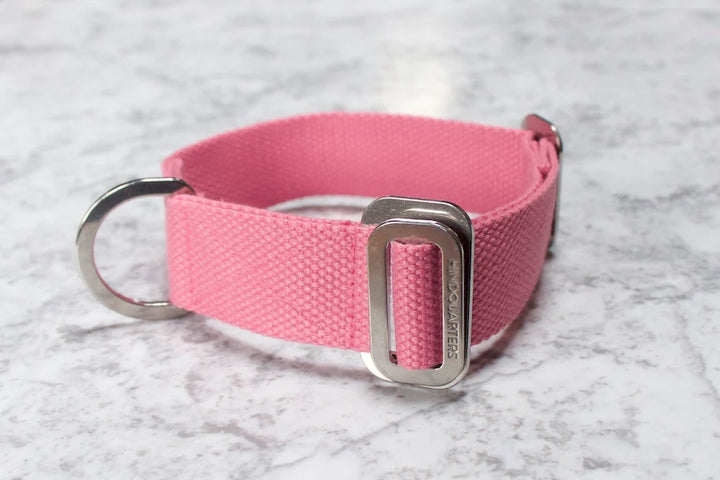 Hindquarters Pink Dog Collar