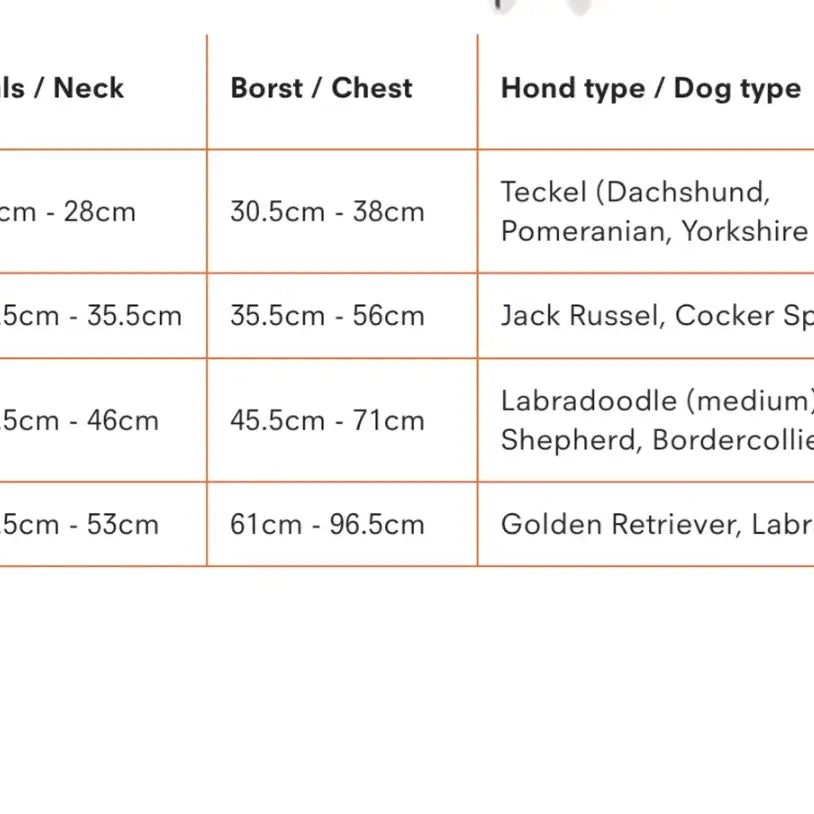 Dog Harness New - Bleu & Yellow M