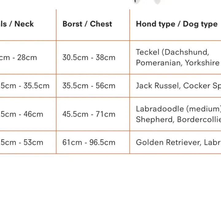 Dog Harness New - Bleu & Yellow M