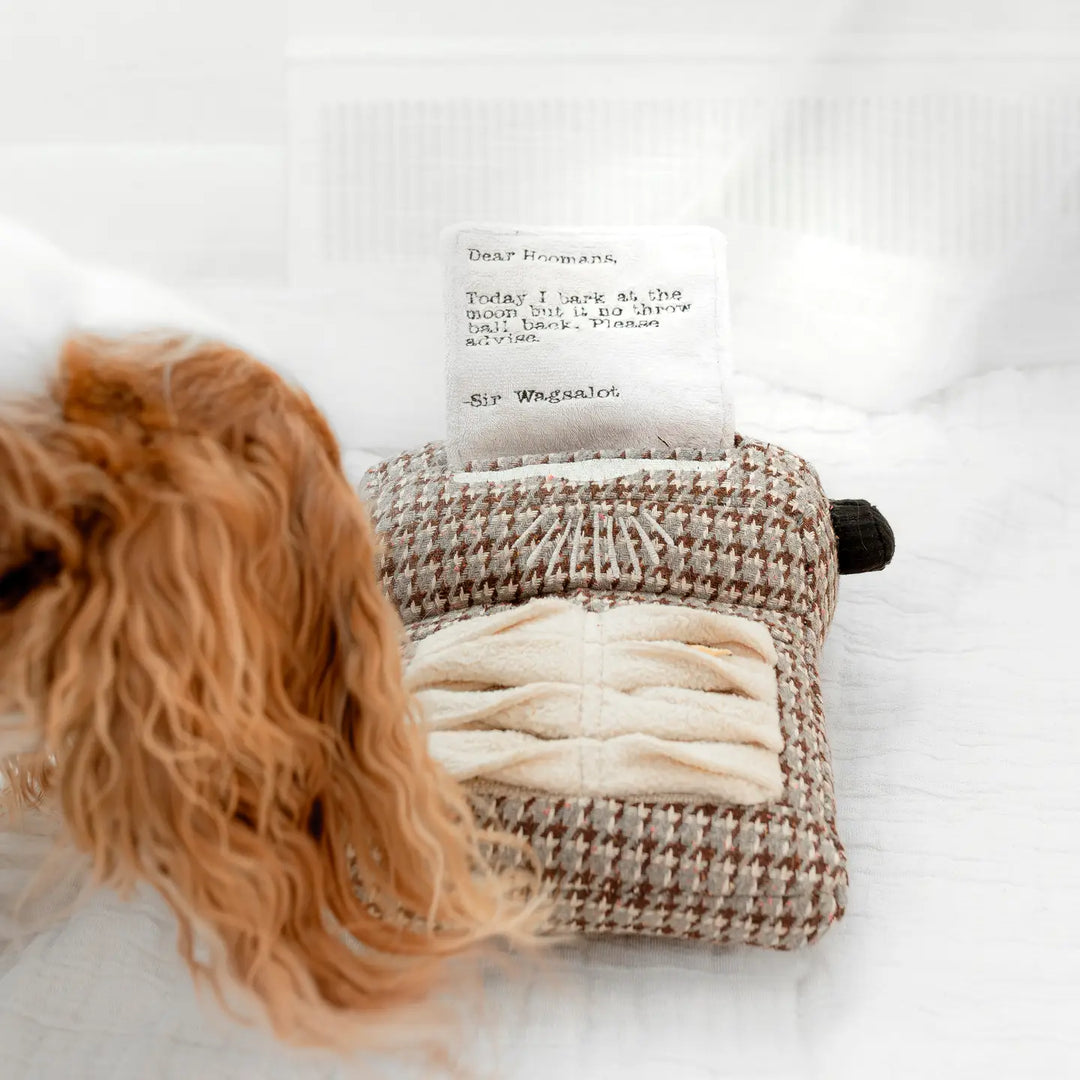 Typewriter//Enrichment Dog Toy