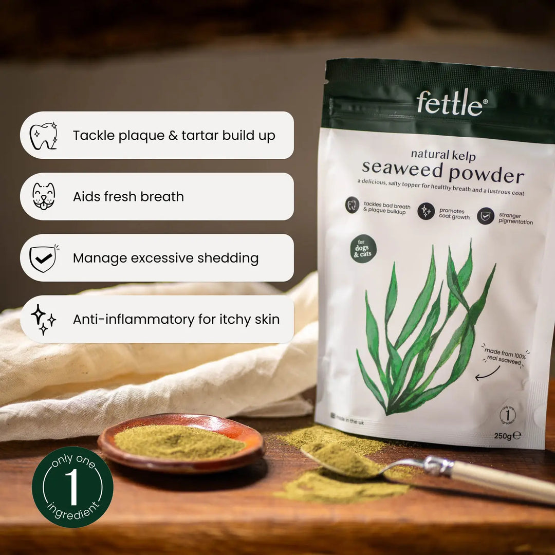 Natural Kelp Seaweed Powder For Dogs & Cats
