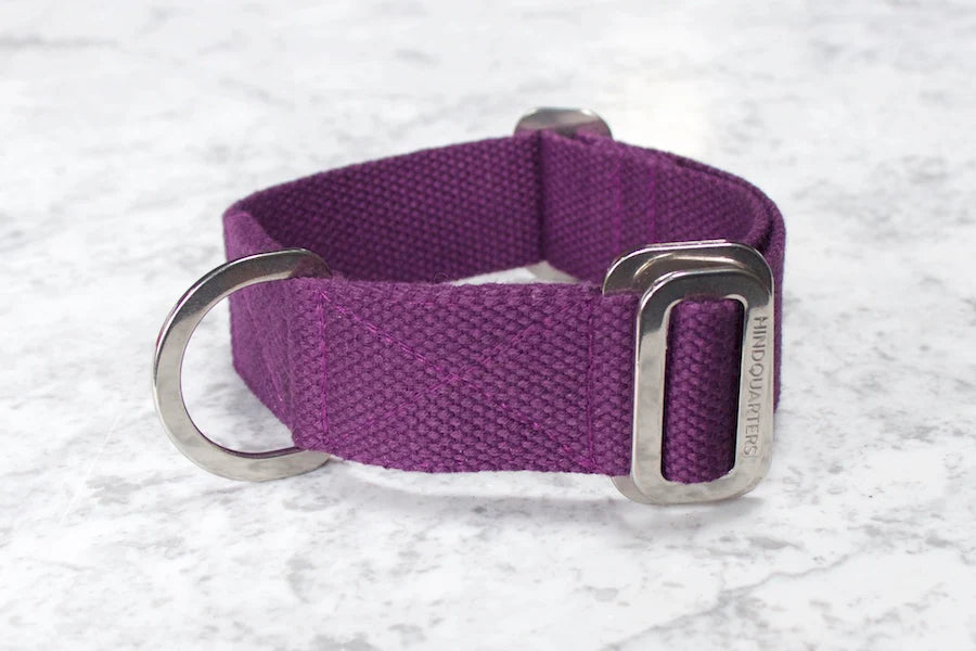 Hindquarters Plum Dog Collar
