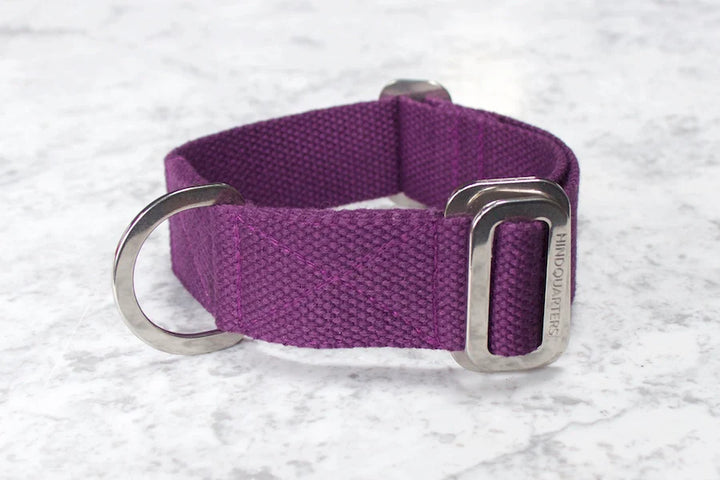 Hindquarters Plum Dog Collar