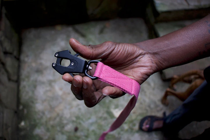 Hindquarters Pink Lead