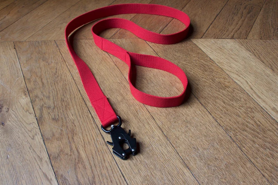 Hindquarters Red Lead