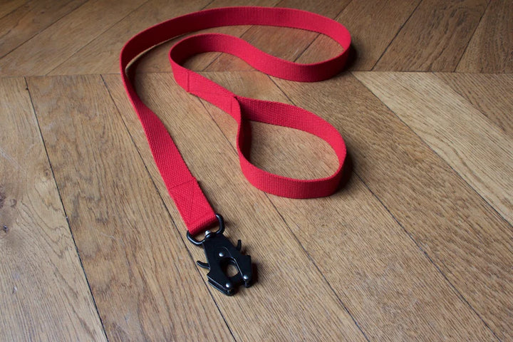 Hindquarters Red Lead