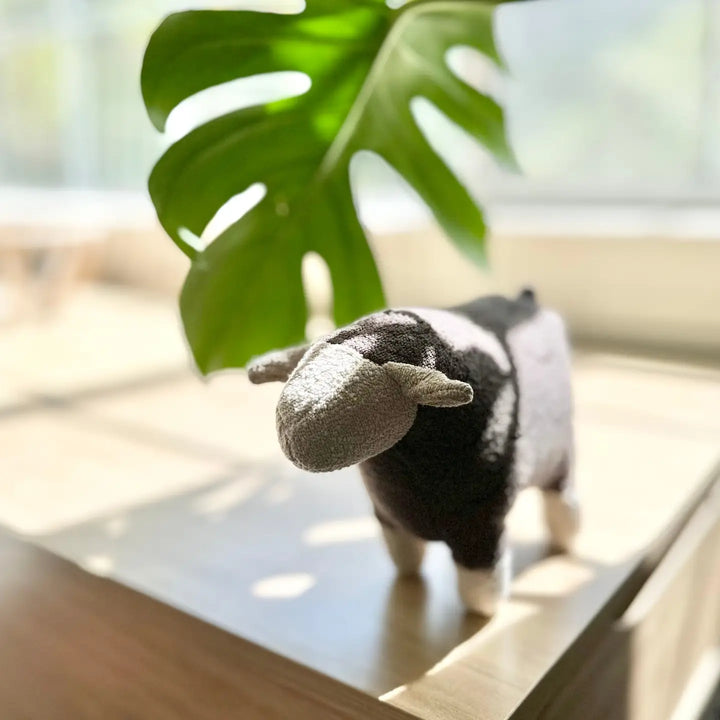 Barry // Squeaker Toy