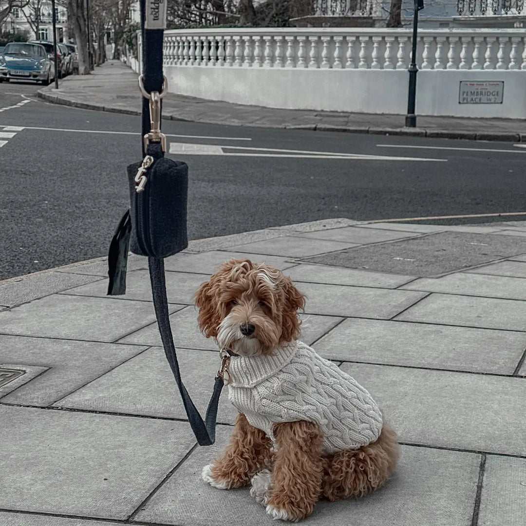 ByTeddy Midnight┃Bouclé Lead