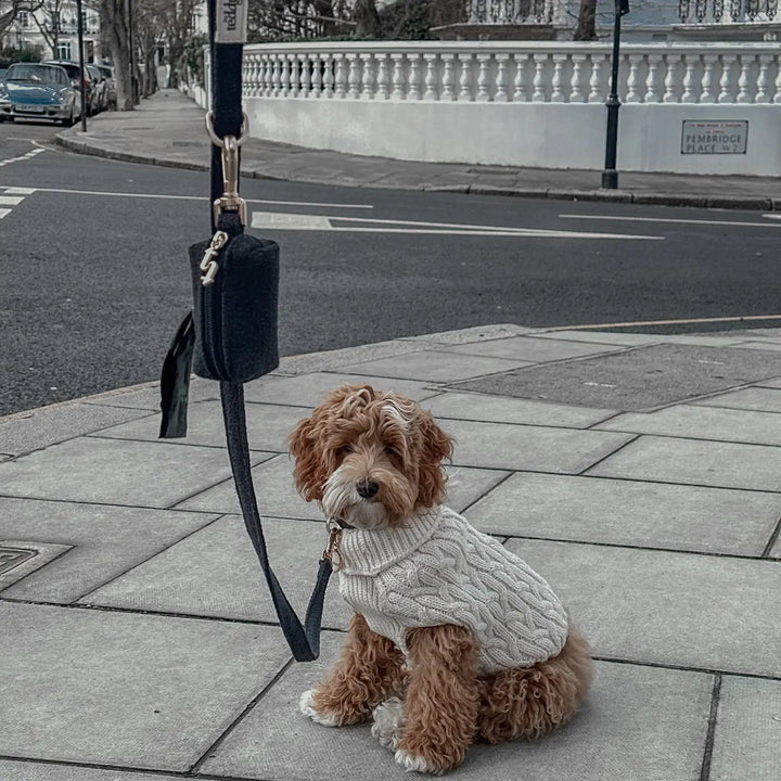ByTeddy Midnight┃Bouclé Lead