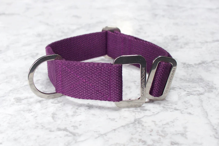 Hindquarters Plum Dog Collar