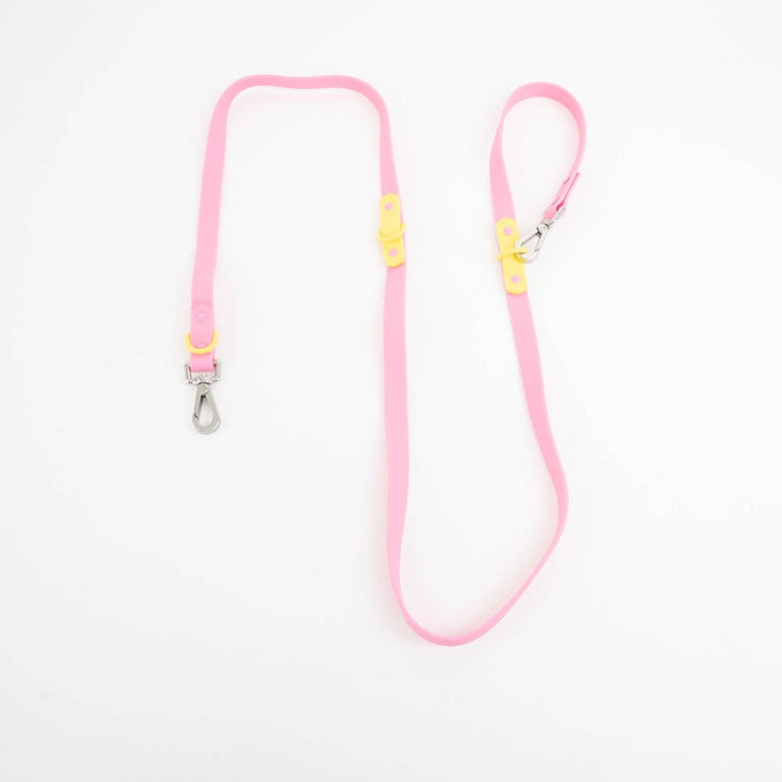 Approved by Fritz - The Fritz Leash: Standard / burgundy sun