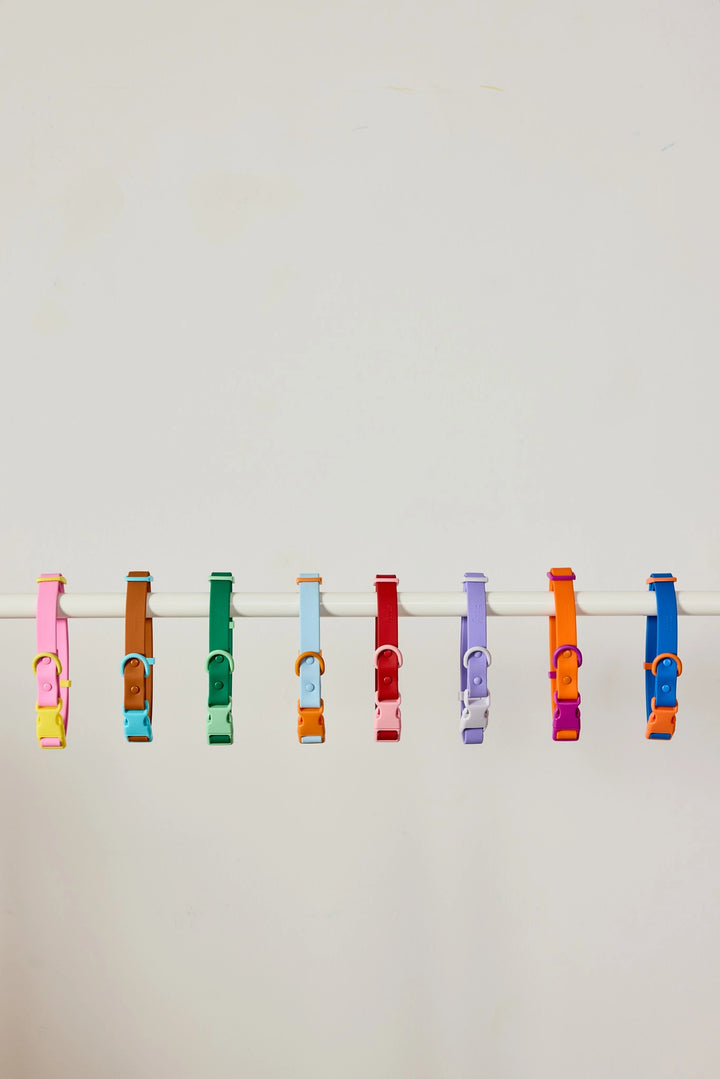 The Fritz Dog Collar