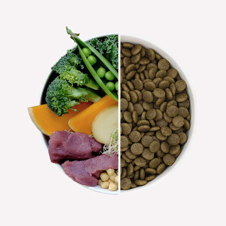 BECO Wild Boar Dry Food with Pumpkin & Broccoli 2kg