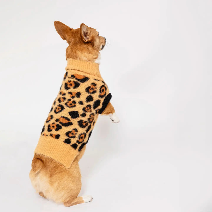 Leopard Sweater