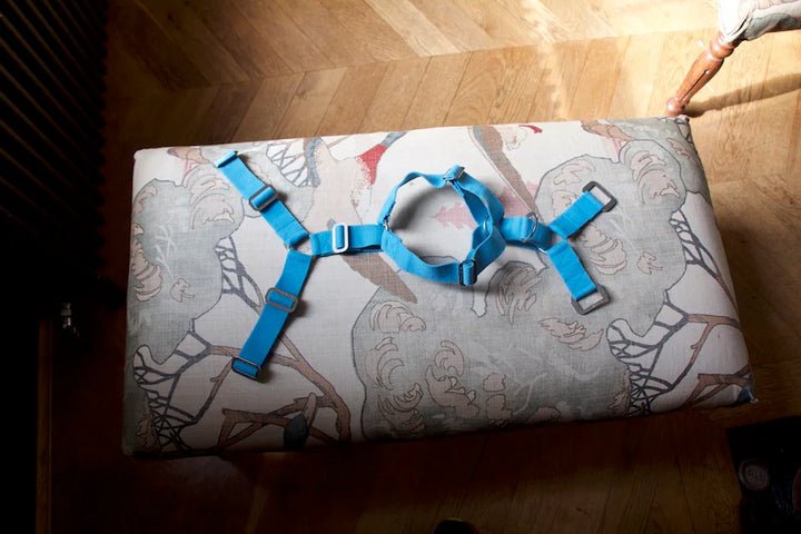 Hindquarters Sky Blue Dog Harness