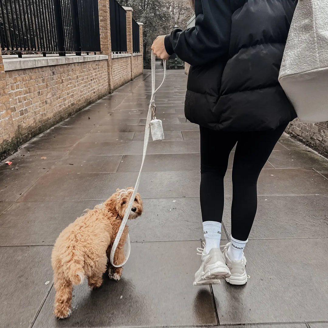 ByTeddy Marshmallow┃Bouclé Lead