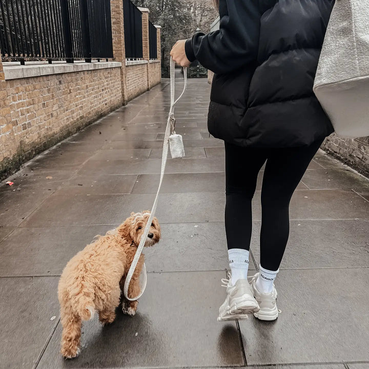 ByTeddy Marshmallow┃Bouclé Lead