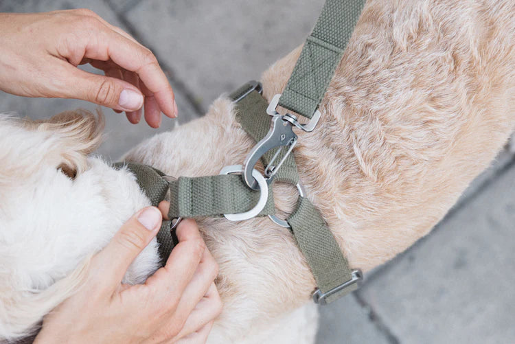 Hindquarters Khaki Dog Harness