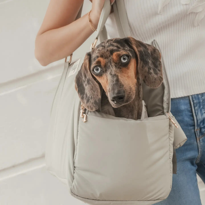 ByTeddy Matcha┃the Puffer Carrier