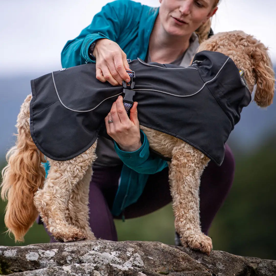 Rain-Defender Dog Coat | Black Waterproof Softshell Dog Coat