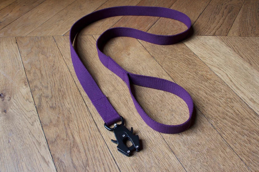 Hindquarters Purple Lead