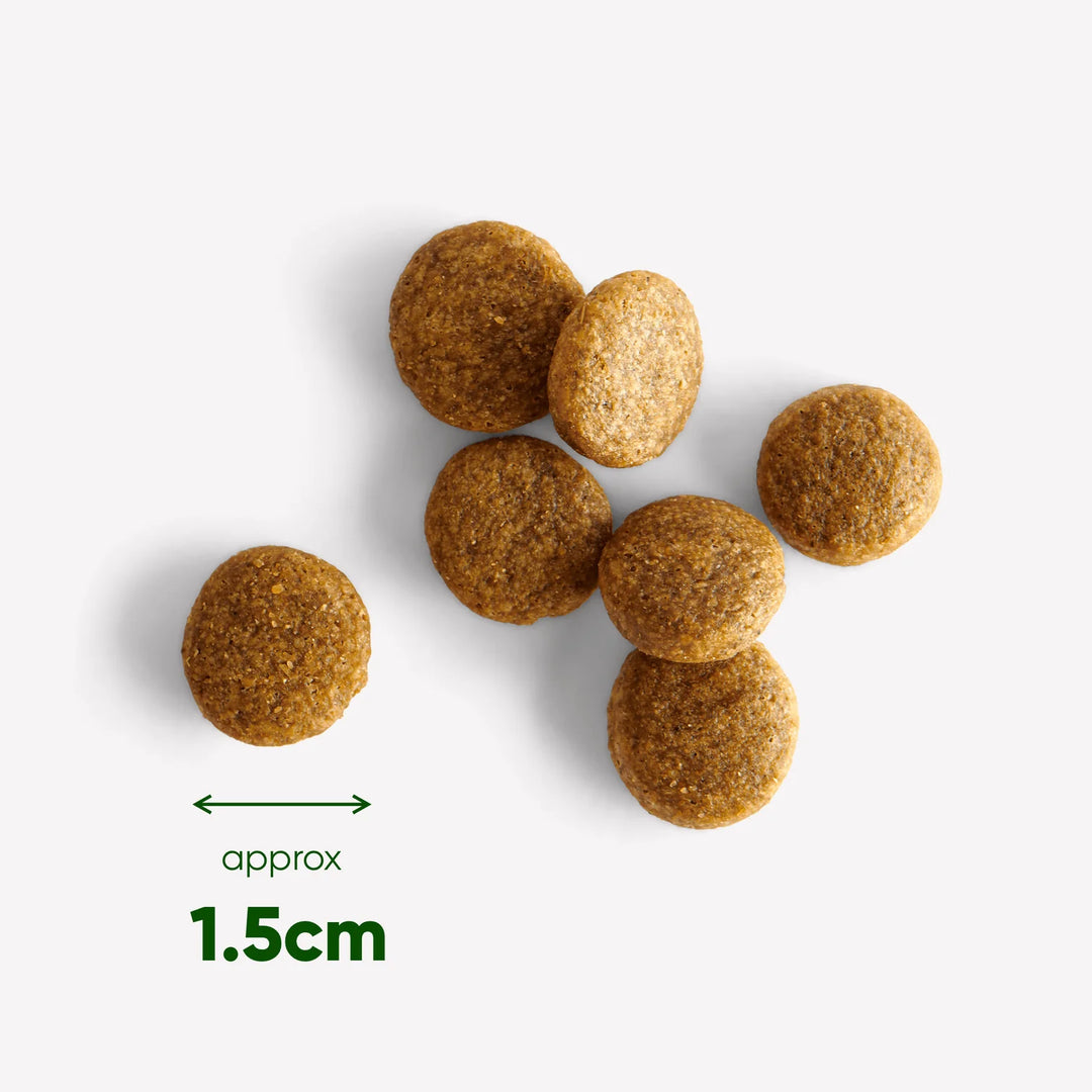 BECO Free Range Chicken Dry Food with Carrot & Chicory 2kg