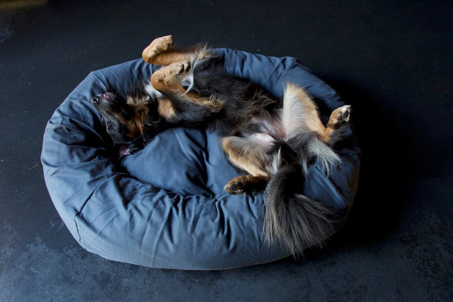 Hindquarters Medium Dog Bed