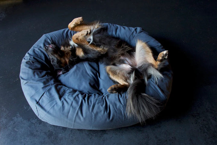 Hindquarters Medium Dog Bed