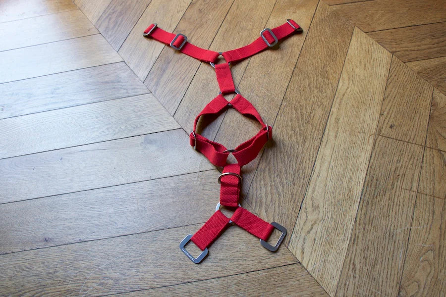 Hindquarters Red Dog Harness