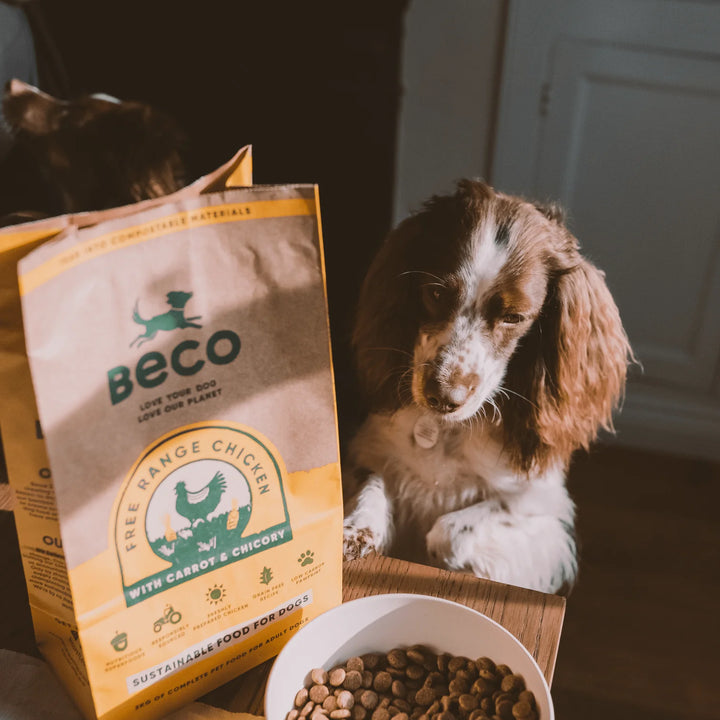 BECO Free Range Chicken Dry Food with Carrot & Chicory 2kg