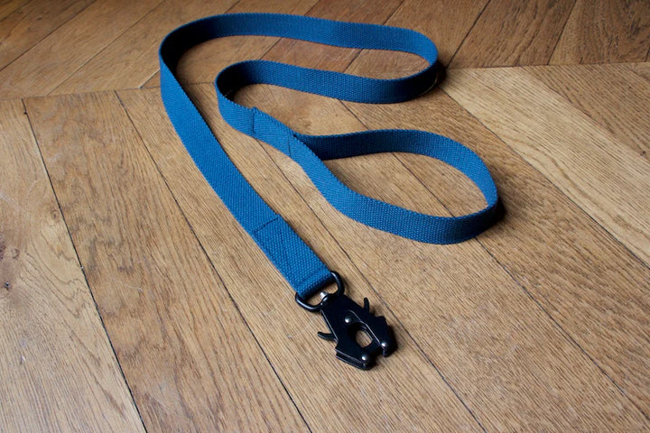 Hindquarters Puddle Blue Lead