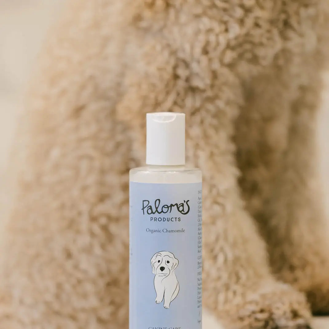 Paloma’s Canine Care Conditioner