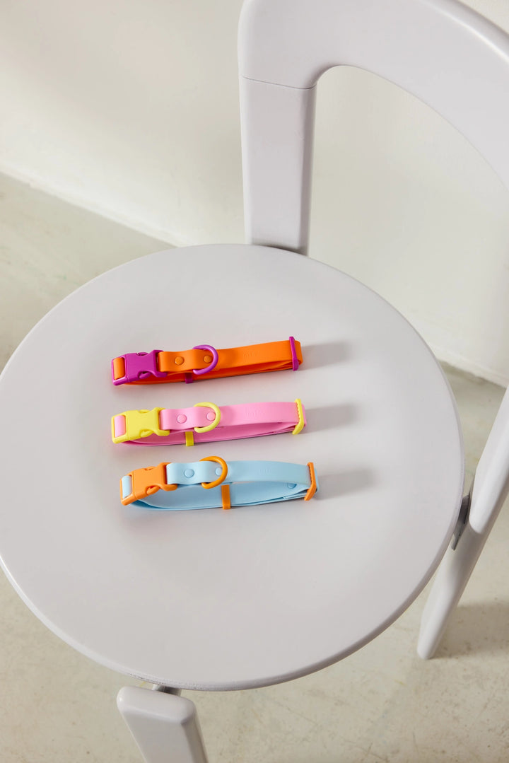 The Fritz Dog Collar