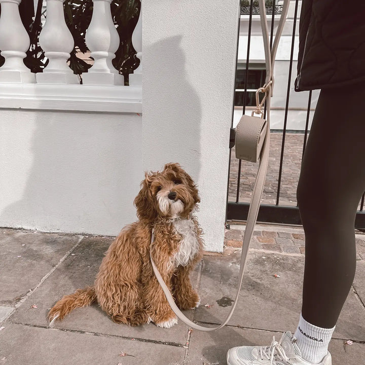 ByTeddy Hazelnut┃Studio Poop Bag Holder