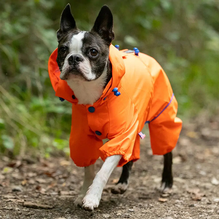 Reflective Hooded Dog Overalls - Neon Orange