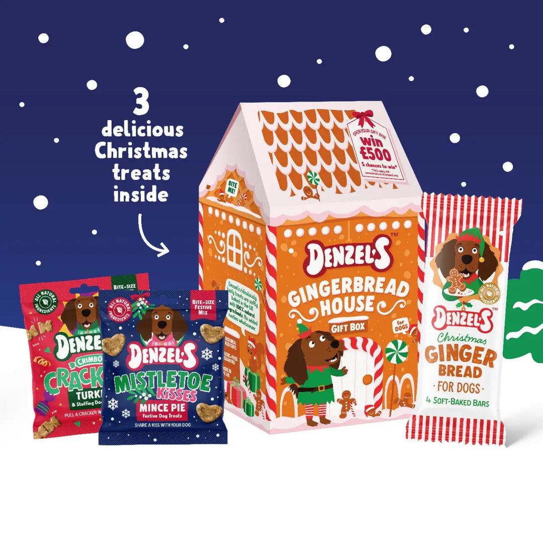 Denzel’S Gingerbread House Gift Box For Dogs