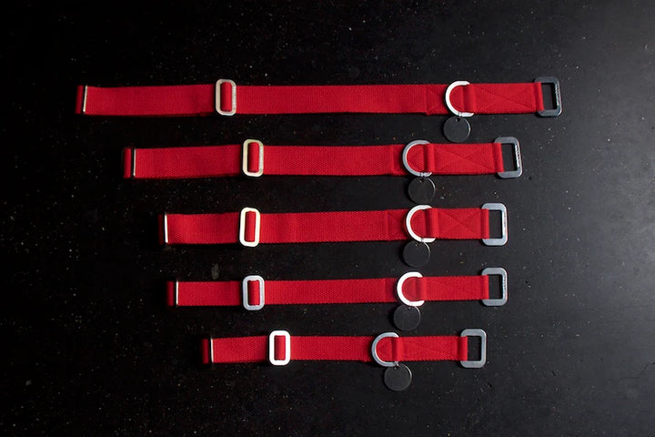 Hindquarters Red Dog Collar