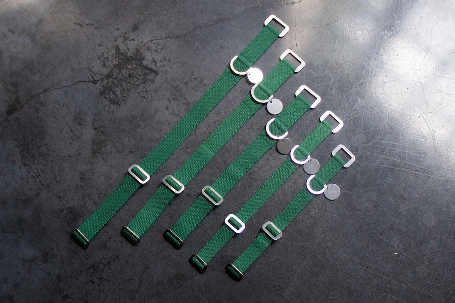 Hindquarters Green Dog Collar