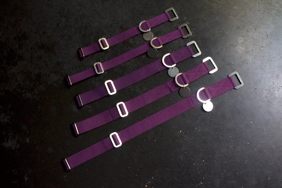 Hindquarters Plum Dog Collar