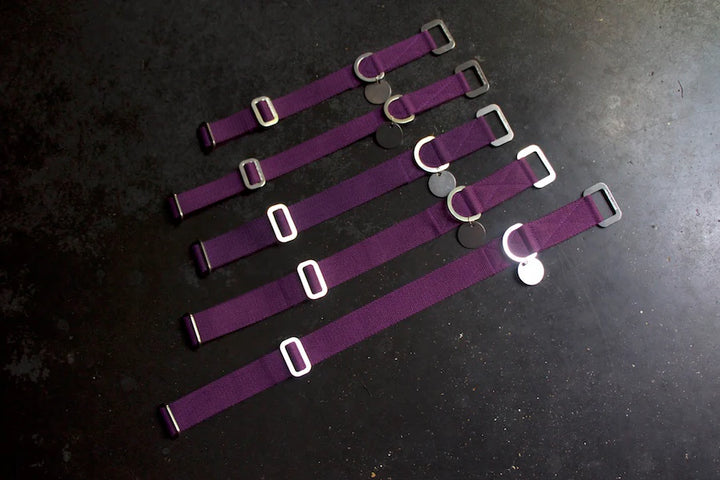 Hindquarters Plum Dog Collar