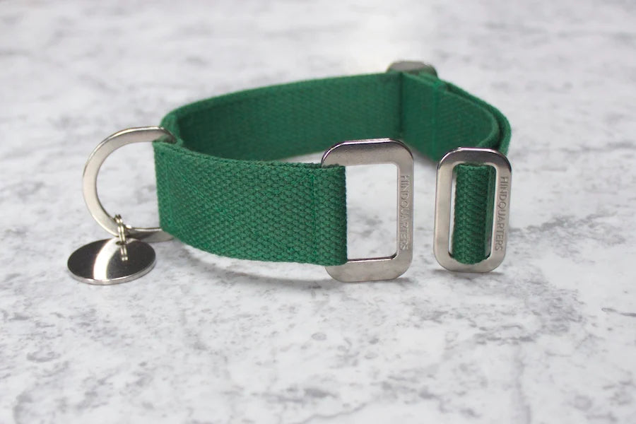 Hindquarters Green Dog Collar