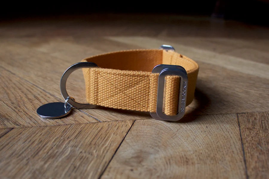 Hindquarters Mustard Dog Collar