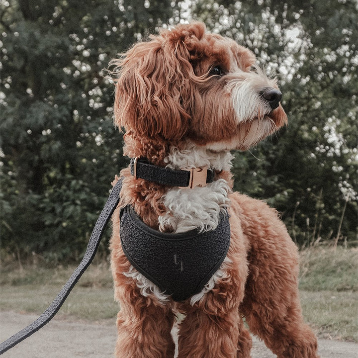 ByTeddy Midnight┃Bouclé Adjustable Harness