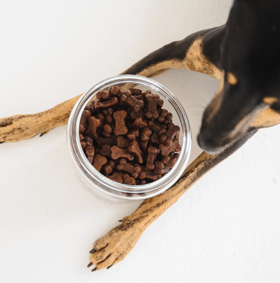 Gizzls - Soft Bites Calming (300g)