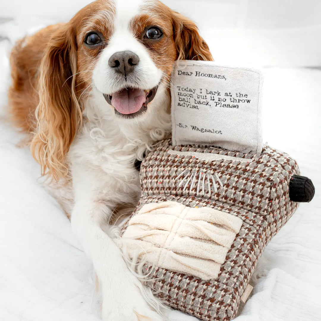 Typewriter//Enrichment Dog Toy