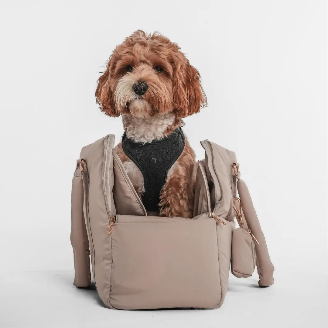 ByTeddy Hazelnut┃the Puffer Carrier