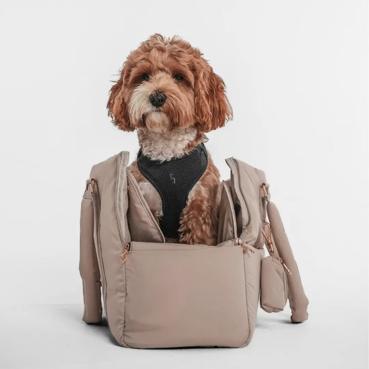 ByTeddy Hazelnut┃the Puffer Carrier