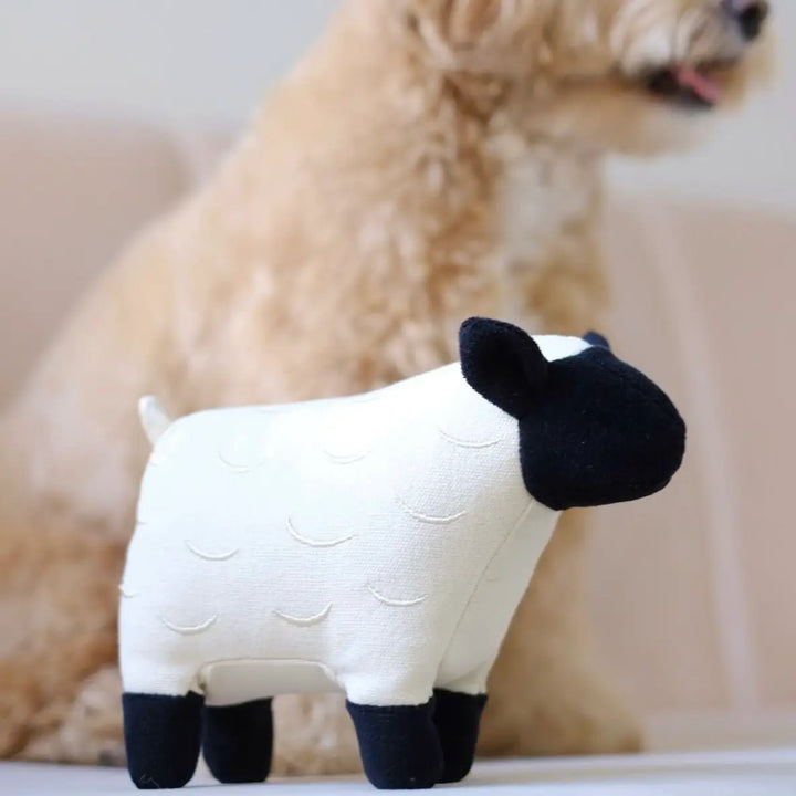 Dolly // Squeaker Toy