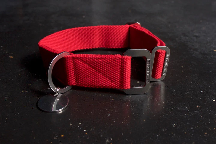 Hindquarters Red Dog Collar